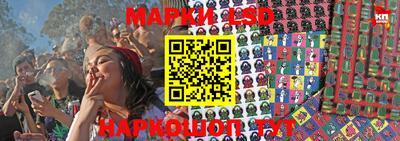 трава Будённовск