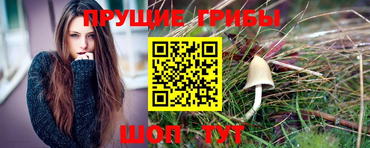Галлюциногенные грибы мухоморы  Псилоцибиновые грибы ЛСД  Тольятти  закладки  Вход с VPN 